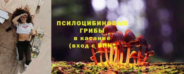 кокс Алексин