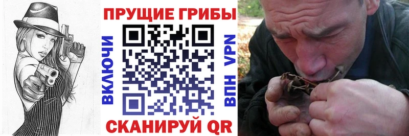 кракен ONION Пыталово Псилоцибиновые грибы Cubensis