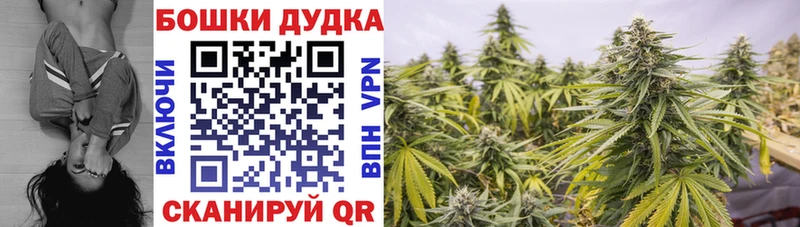 Конопля AK-47  Пыталово 